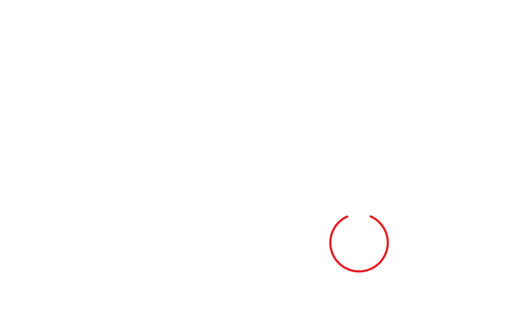 Skydrone_logo-blanc-fond transparent